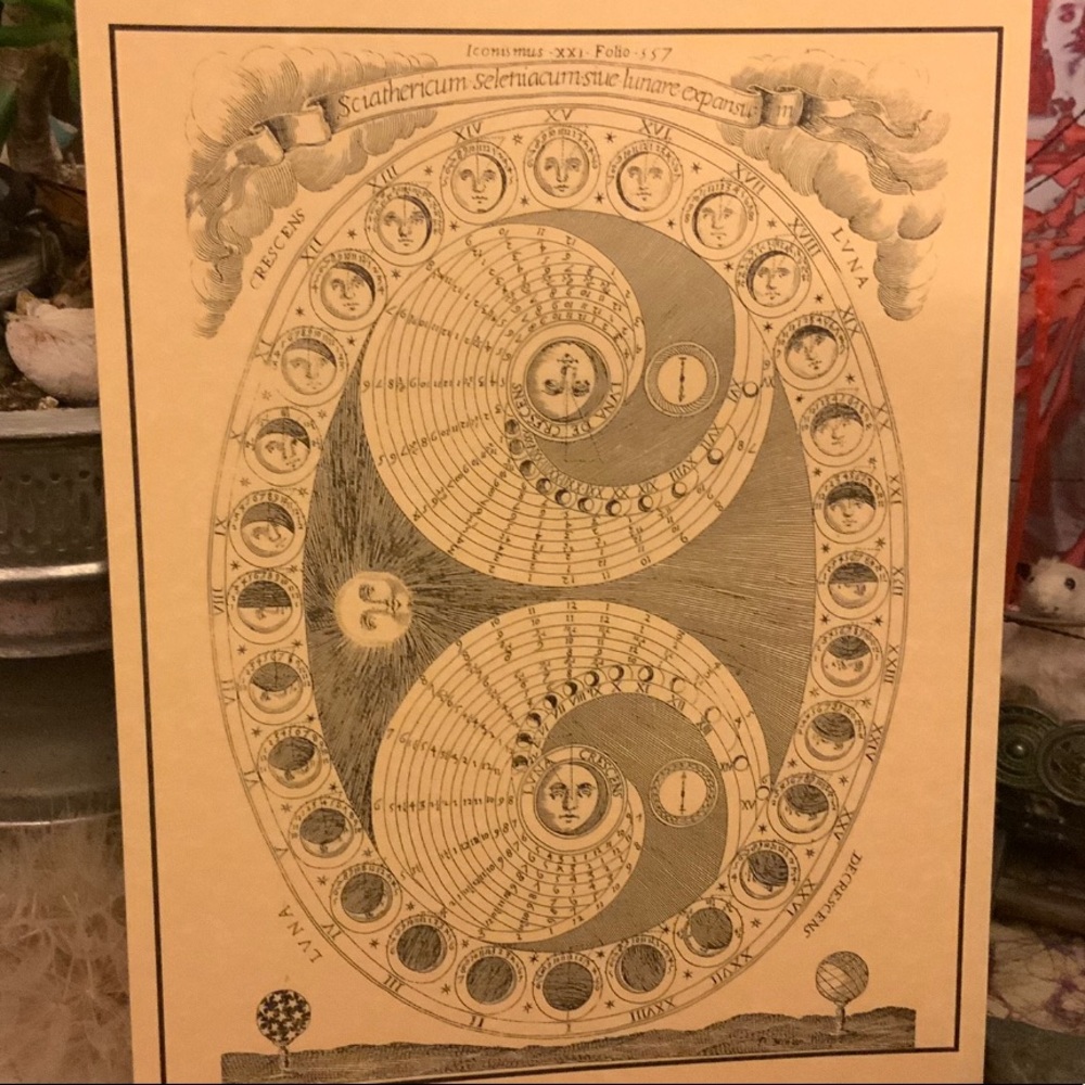 Meet your Posher, Dominique